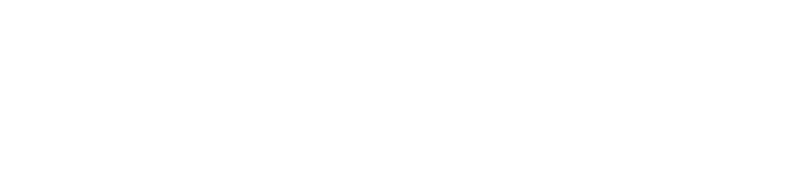 birch logo upscaled white